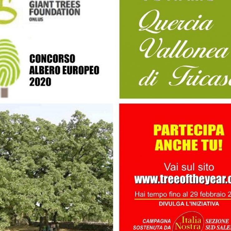 La Quercia Vallonea, il Parco e gli alberi secolari del Salento