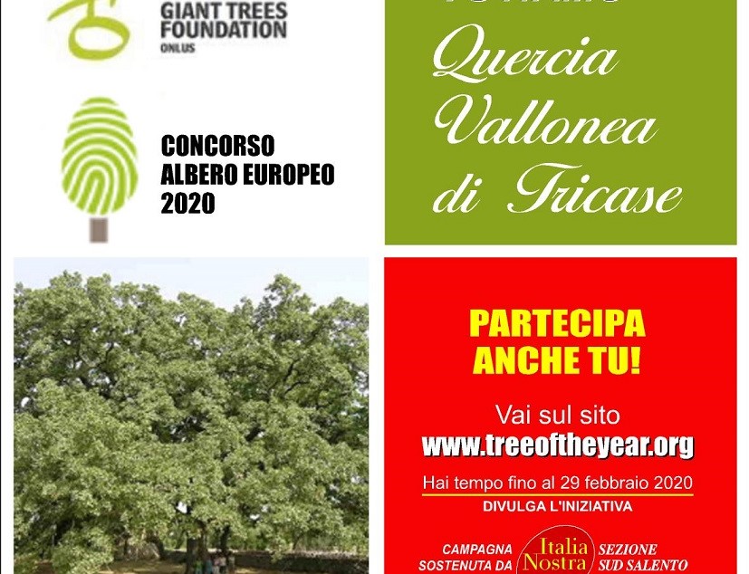 La Quercia Vallonea, il Parco e gli alberi secolari del Salento
