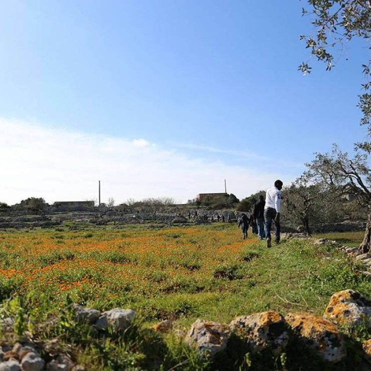 Salento a cavallo