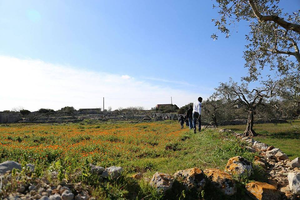 Salento a cavallo