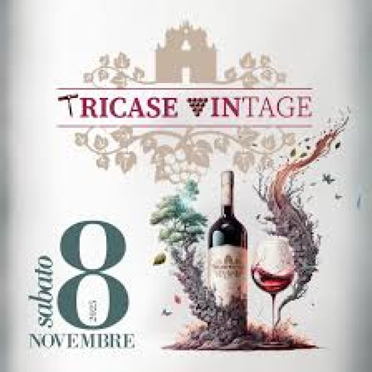 Sabato 8 novembre 2025! Tricase Vintage sta per tornare!