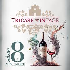 Sabato 8 novembre 2025! Tricase Vintage sta per tornare!