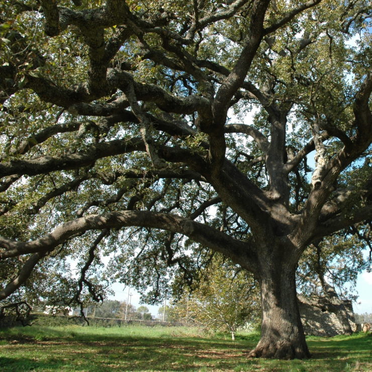 Il weekend lungo che ti meriti