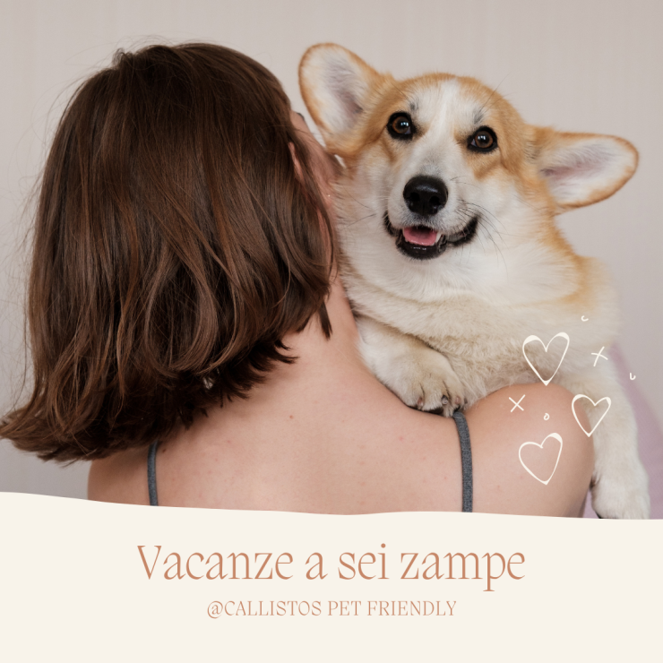 Vacanze a sei zampe @Callistos pet friendly