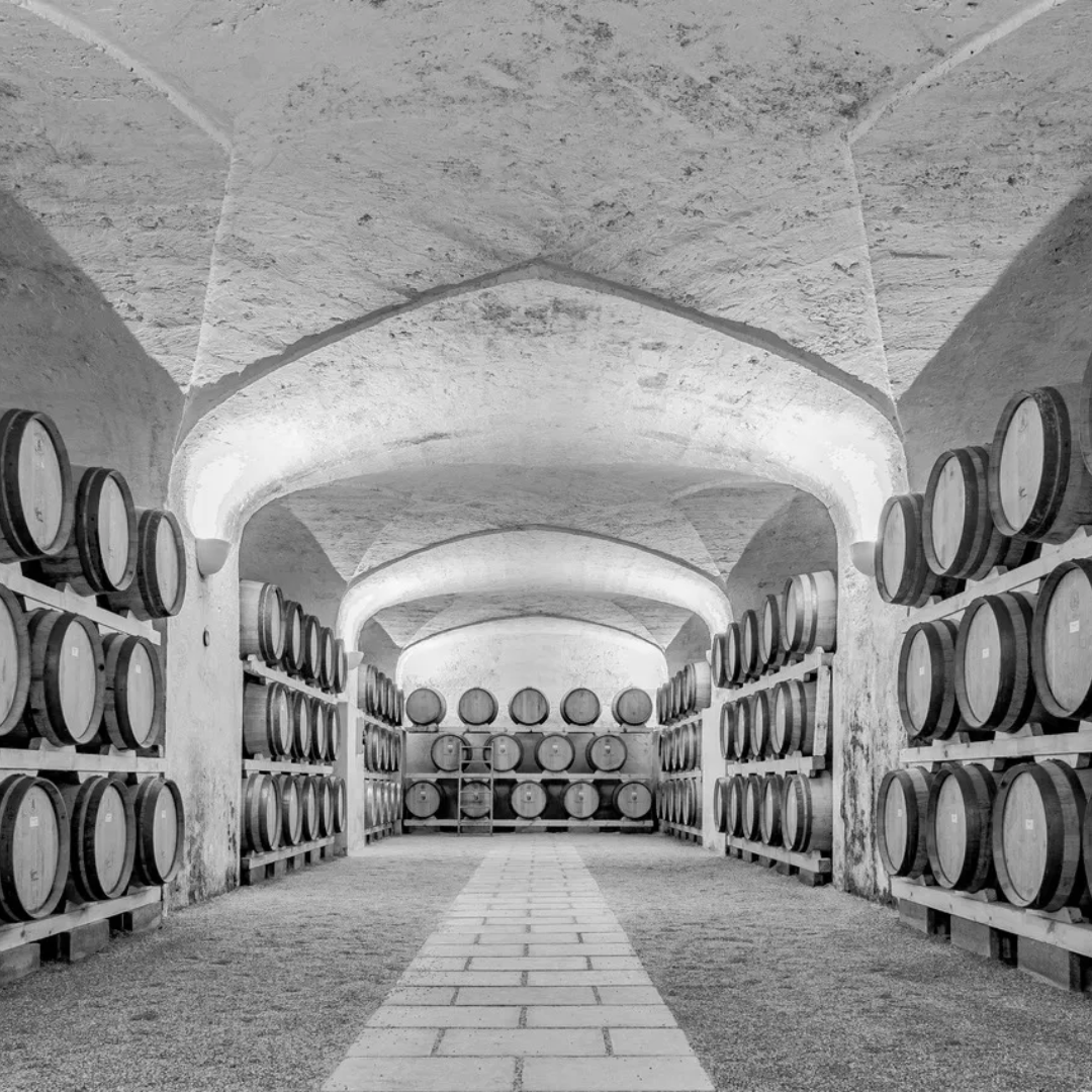 Cantina Castel di Salve, tra vigneti, sole e passione