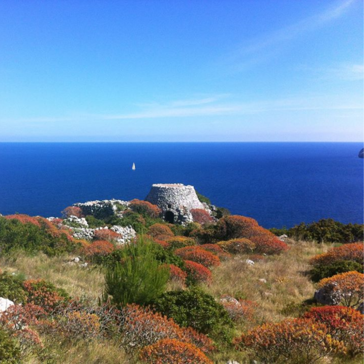 Orizzonti di sale: cronache e segreti delle Marine del Capo
